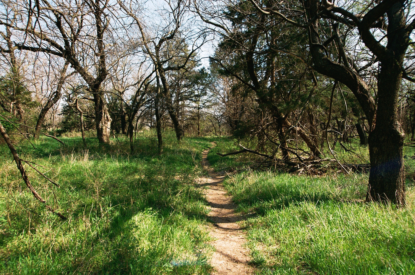 Chapter Twenty-Eight — Part Two: The Book of Acts